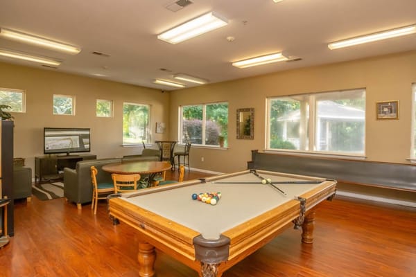 Common area with a pool table in a cozy lounge