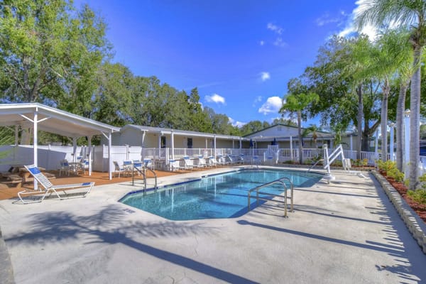 Outdoor pool surrounded by lounge chairs and palm trees