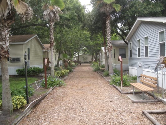 Pathway lined with palm trees and residences at Rocky Creek Village