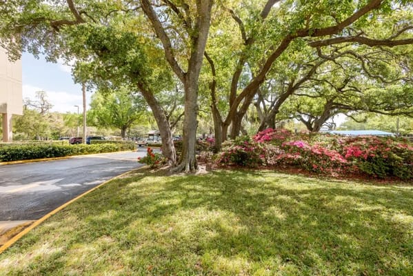 Outdoor space with trees and colorful flowers