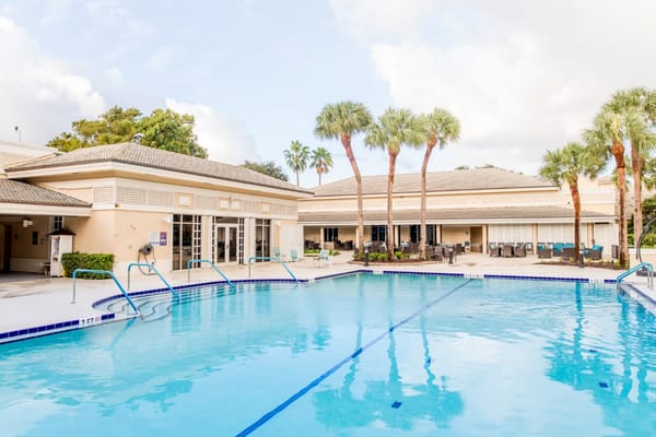 Swimming pool surrounded by palm trees and seating area
