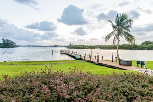 Wooden pier extending into calm water with palm trees nearby