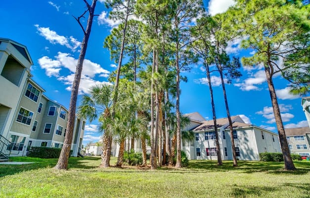 Beautiful outdoor space with trees and blue sky