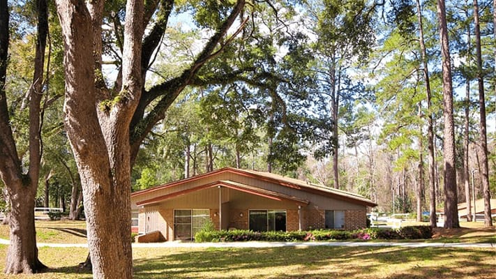 Exterior view of Miccosukee Hills Apartments surrounded by trees