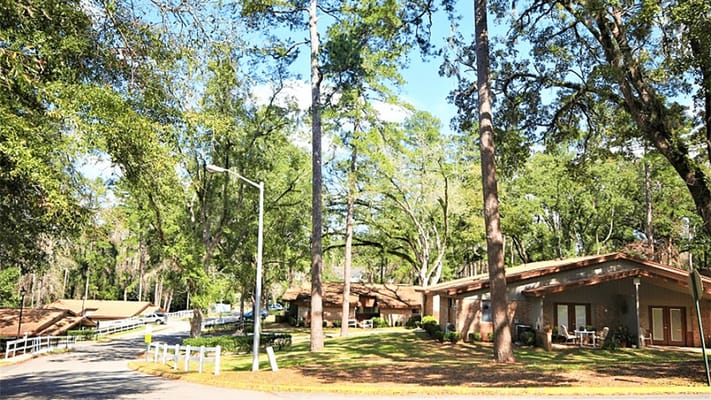 Exterior view of Miccosukee Hills Apartments surrounded by trees