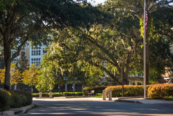 Scenic view of the outdoor space at Oak Hammock