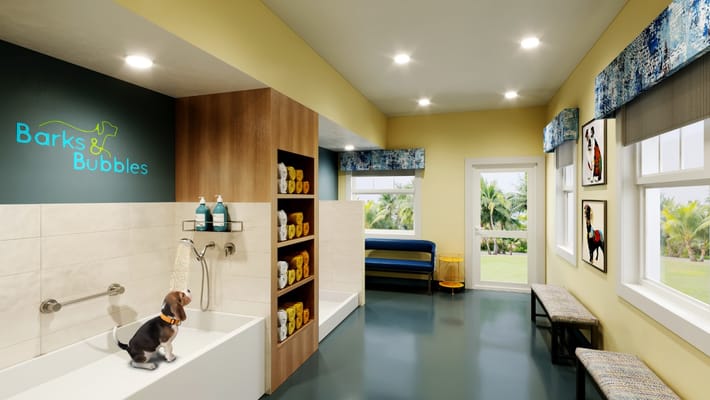 Dog bathing area with a beagle in a tub and a bright, colorful interior.