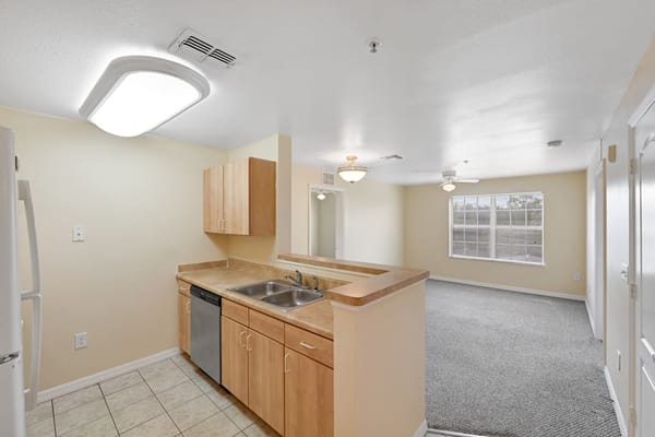 Interior view of a residential kitchen and living area