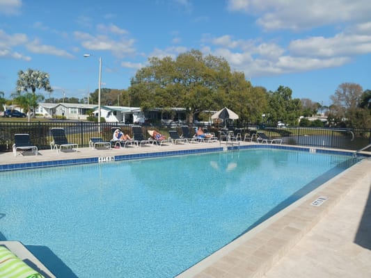 Outdoor pool with lounge chairs and palm trees.