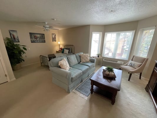 Bright and spacious living room area