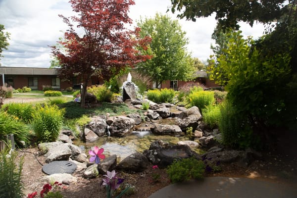 A serene garden with rocks, a small pond, and blooming flowers.