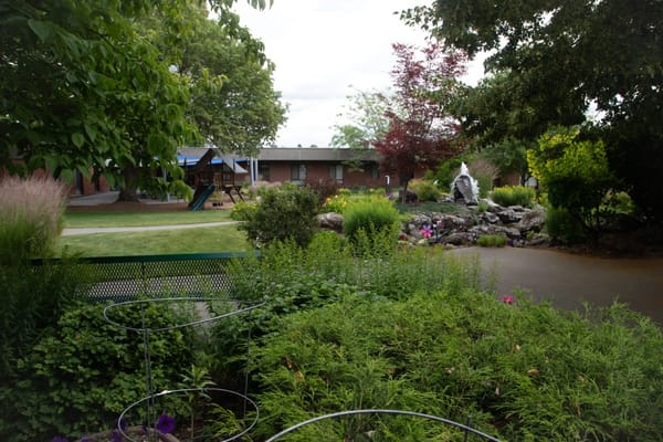 Lush garden with a fountain and playground in the background