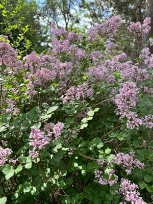 Fairwood Retirement Village & Assisted Living