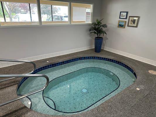 Indoor spa area with a hot tub and decorative plants