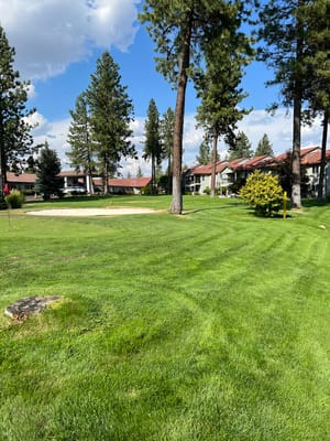 Outdoor view of green space and building in the background