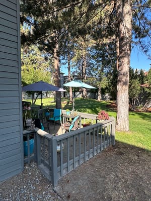 Outdoor seating area with umbrellas and greenery