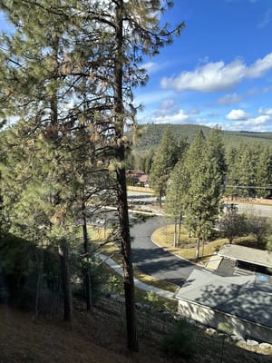 View of the outdoor space with trees and road