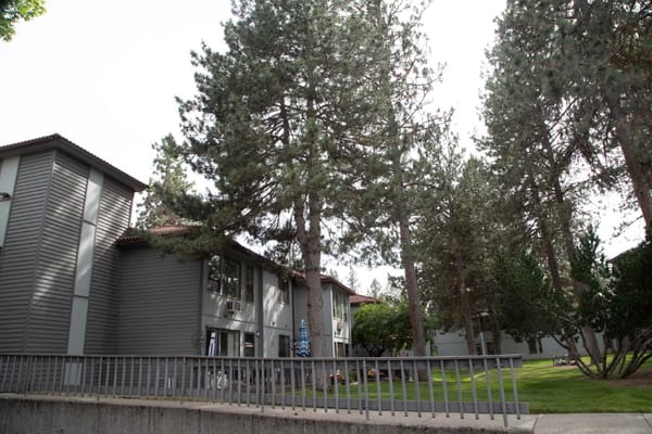 Exterior view of the assisted living building among trees