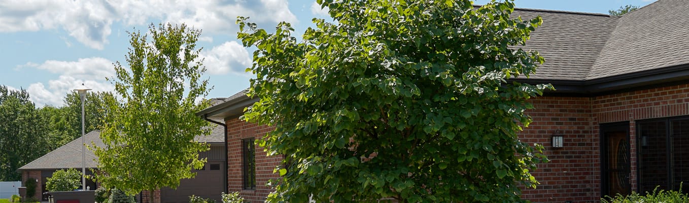 Exterior view of a nursing home with greenery