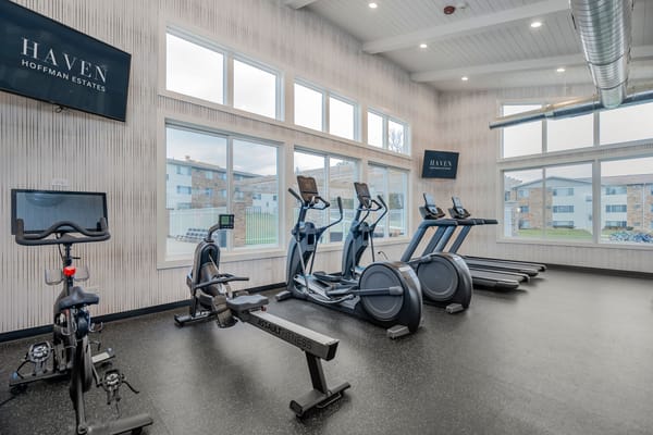 Well-equipped gym with exercise machines and large windows