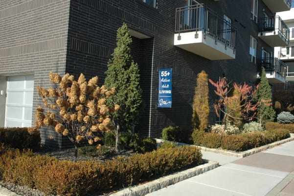 Exterior view of Bri at the Village with landscaping