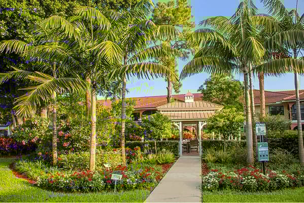 Lush entrance garden with palm trees and flowers at St. Andrews Estates.