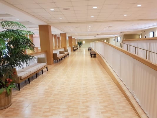 Interior hallway with seating and greenery