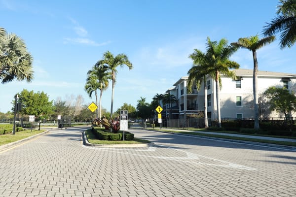 Entrance to The Reserve at Coral Springs with palm trees