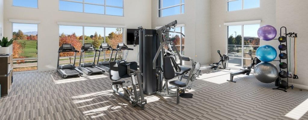 Well-equipped gym with exercise machines and fitness balls
