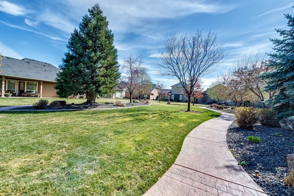 Pathway through a landscaped outdoor space