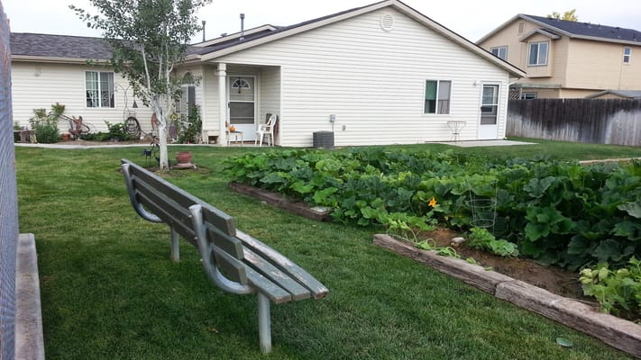 Garden area with seating and vegetables growing