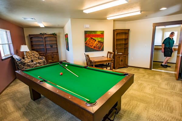 Interior game room with a billiards table and a resident