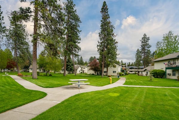 Well-maintained outdoor space with walking paths and trees