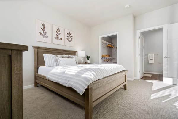 Bright and inviting bedroom with a plush bed and storage closet
