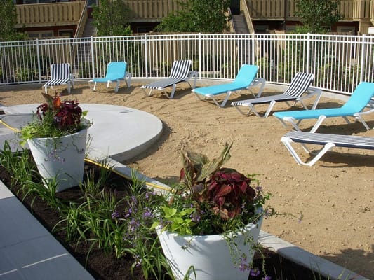 Outdoor pool area with lounge chairs and potted plants