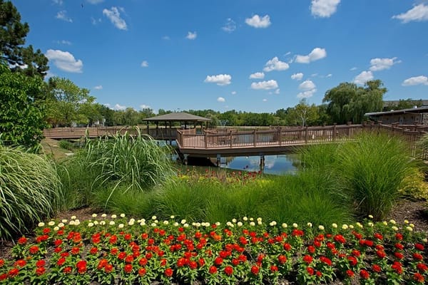 Beautiful outdoor space with flowers and a bridge