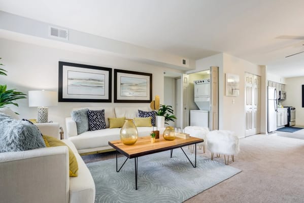 Bright living room with modern decor and plants