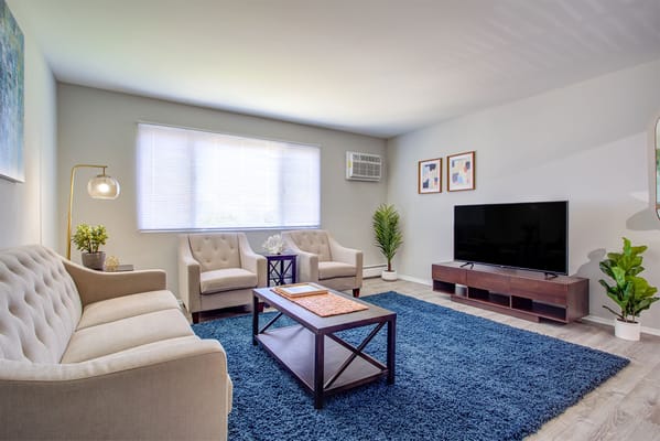 Cozy living room with sofas and a TV