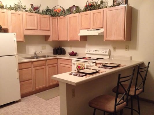 Warm kitchen setting with wooden cabinets