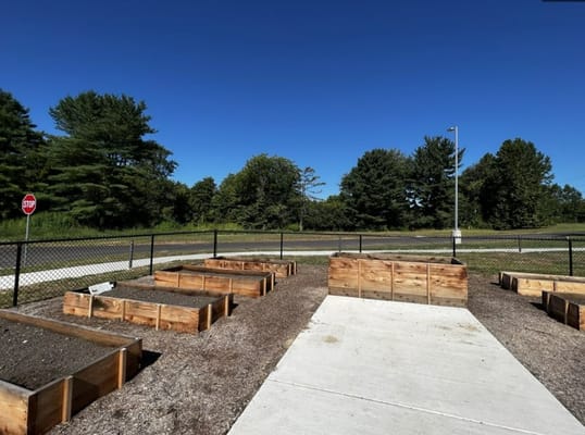 Outdoor gardening area with raised beds and clear blue sky
