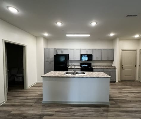 Modern kitchen interior with appliances and cabinetry