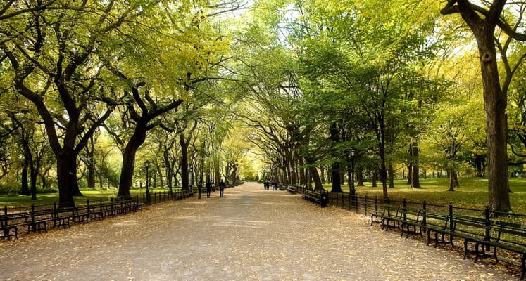 LifeWorx – Upper East Side