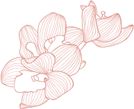 Margret Ultra Home Care