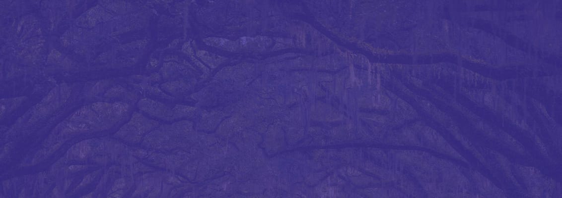 New Vision Home Care Services