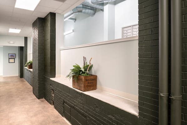 Interior hallway with plants and natural light