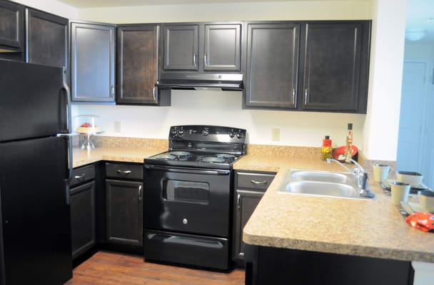 Modern black kitchen with stove and sink