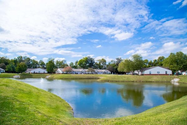 A scenic view of a pond surrounded by greenery and buildings