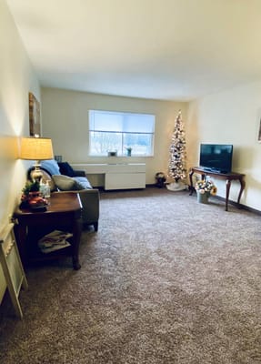 Cozy living room decorated for the holidays