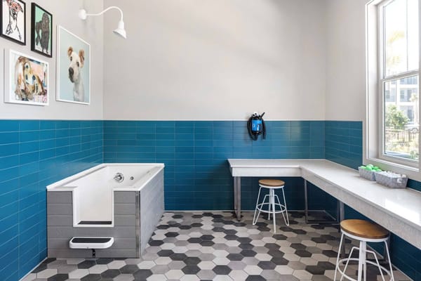 Windsor Clearwater Apartments