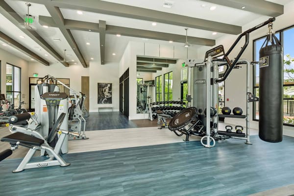 Well-equipped gym with modern fitness machines
